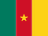 flag of Cameroon