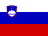 flag of Slovenia
