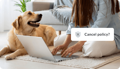 Person canceling policy with dog on a side