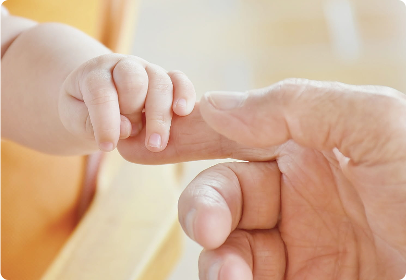  surrogates and adoption in germany hero