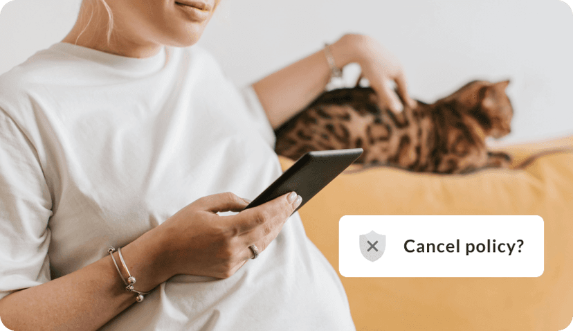 woman on phone petting cat