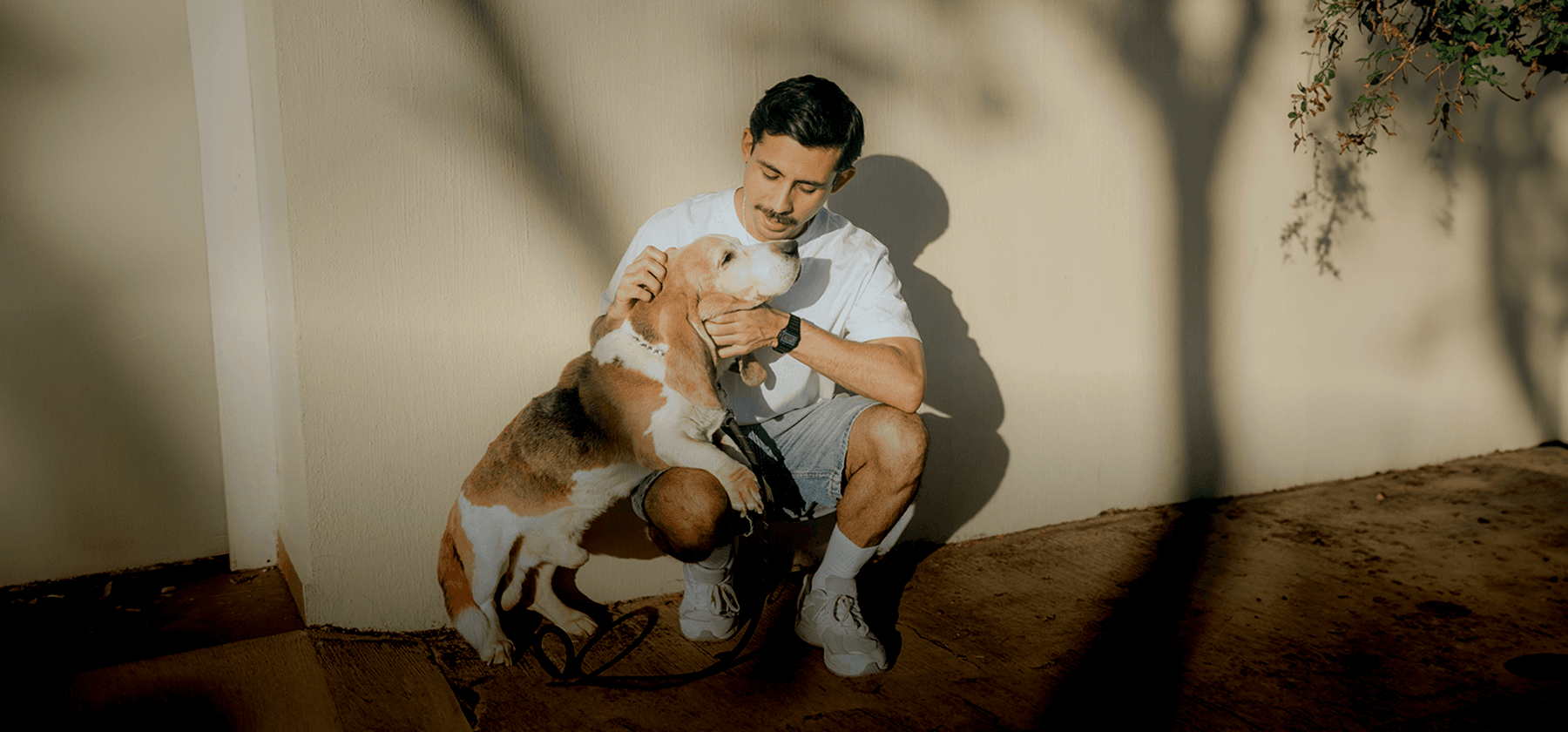 A young man crouching down outdoors, affectionately petting his beagle in warm afternoon light.