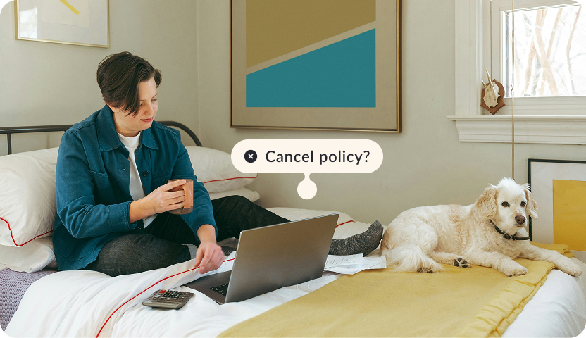 Person sitting on a bed in front of a laptop with a dog laying next to them. The tag reads " Cancel policy?"